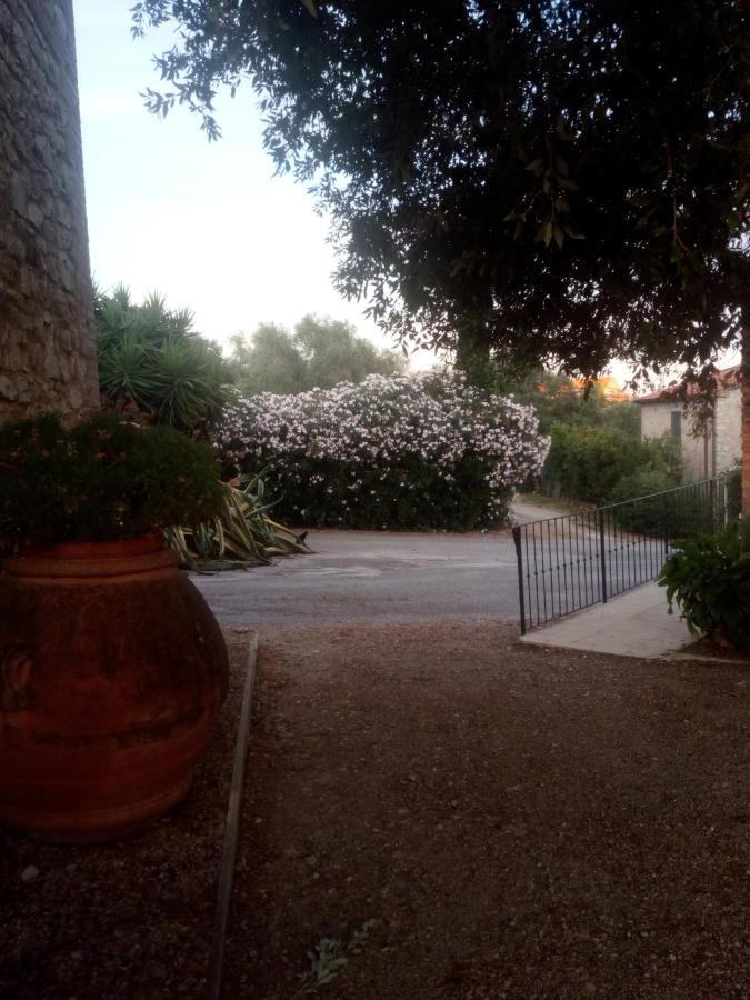 Case Cordovani Magliano in Toscana Zewnętrze zdjęcie
