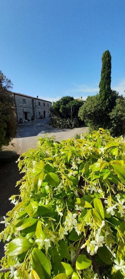 Case Cordovani Magliano in Toscana Zewnętrze zdjęcie