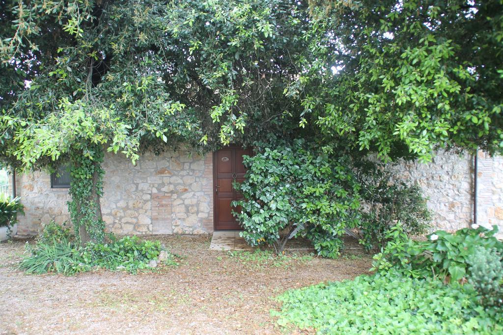 Case Cordovani Magliano in Toscana Zewnętrze zdjęcie