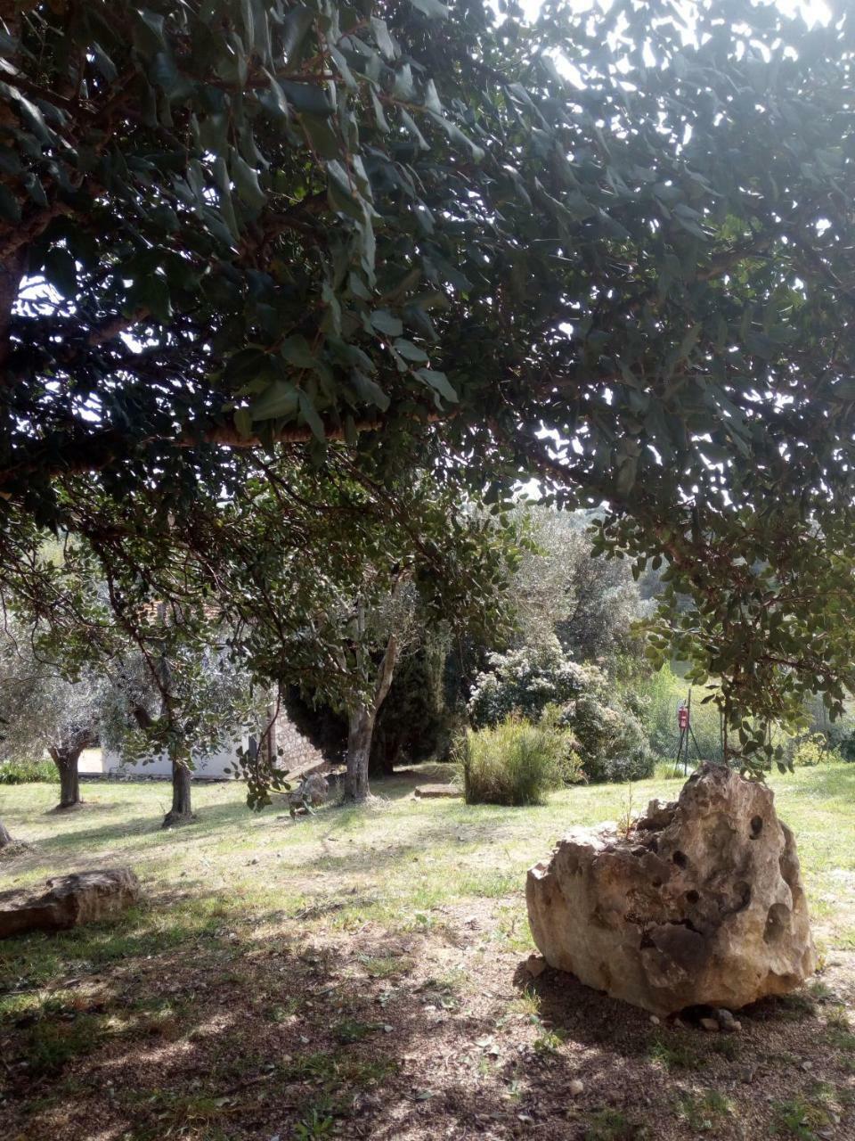 Case Cordovani Magliano in Toscana Zewnętrze zdjęcie